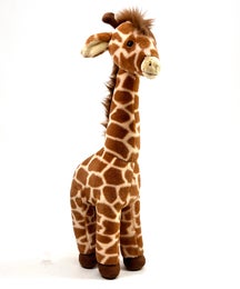 Dara Giraffe