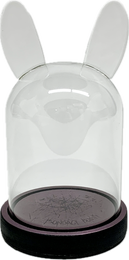 BUNNY LASIKUPU JA ALUSTA